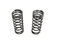 Discovery Parts Coil Springs set of two metal suspension springs for vehicles