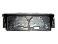 2003-2004 Discovery II Instrument Cluster Panel with Speedometer and Fuel Gauge